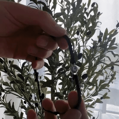 Eternity's Flare Photo Bracelet - Elegant Eternity